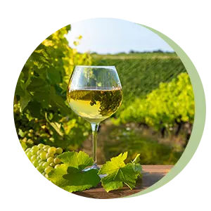 Au Fil des Saisons : carte des vins blancs à Luçon près de Fontenay-le-Comte | Côte Vendéenne